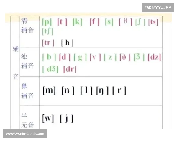 全方位掌握欧协联决赛规则的五大关键要点权威深度解析实战指南